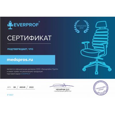   Everprof Fix Plus Chrome